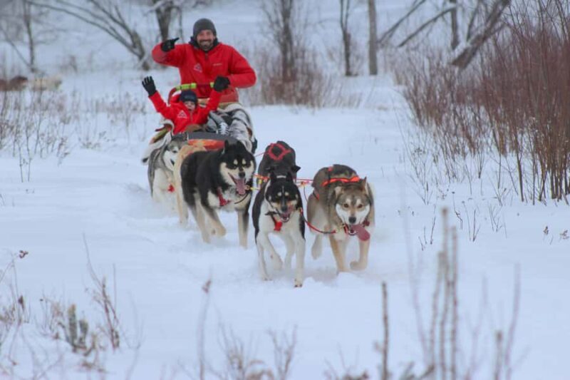 Dogsledding Valley Adventure near Mont-Tremblant - Key Points  
