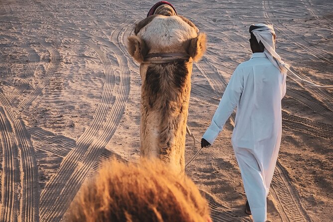 Doha-Night Desert Safari With Sand Board and Camel Ride - Good To Know