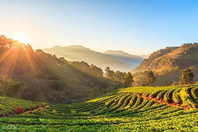 Doi Inthanon Day Trip From Chiang Mai Including Karen Hill Tribe & Twin Pagodas - Twin Pagodas Exploration