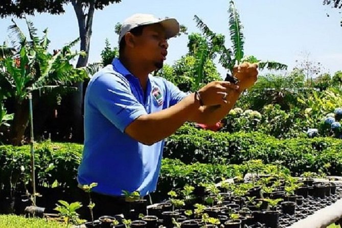 Doka Café, Poas Volcano and La Paz Waterfall Garden - Meeting and Pickup