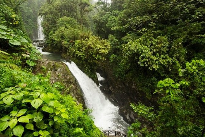 Doka Café, Poas Volcano and La Paz Waterfall Garden - Customer Reviews and Experiences