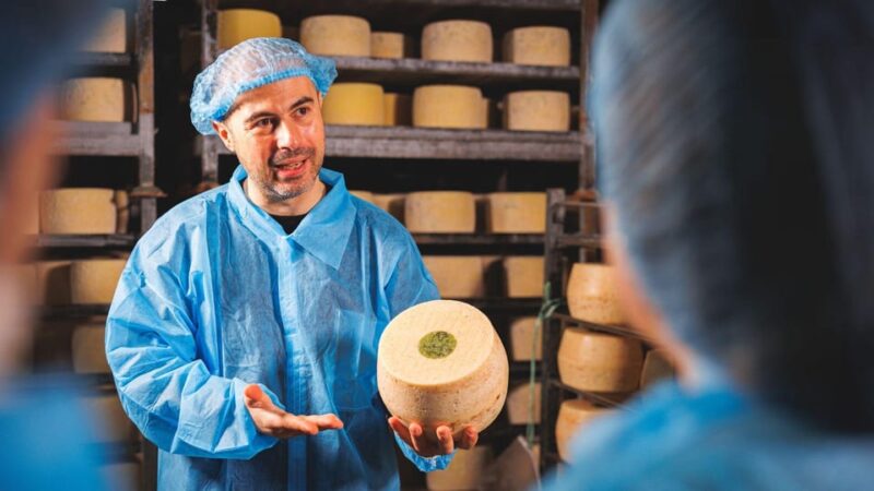 Dolianova: Visit and Workshop in a Cheese Factory - Exploring Sardinian Cheese Traditions