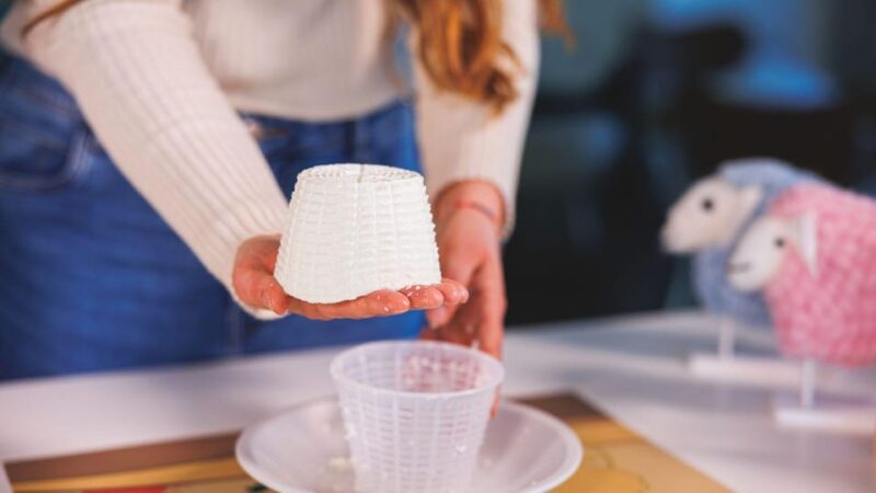 Dolianova: Visit and Workshop in a Cheese Factory - Hands-on Cheese Creation