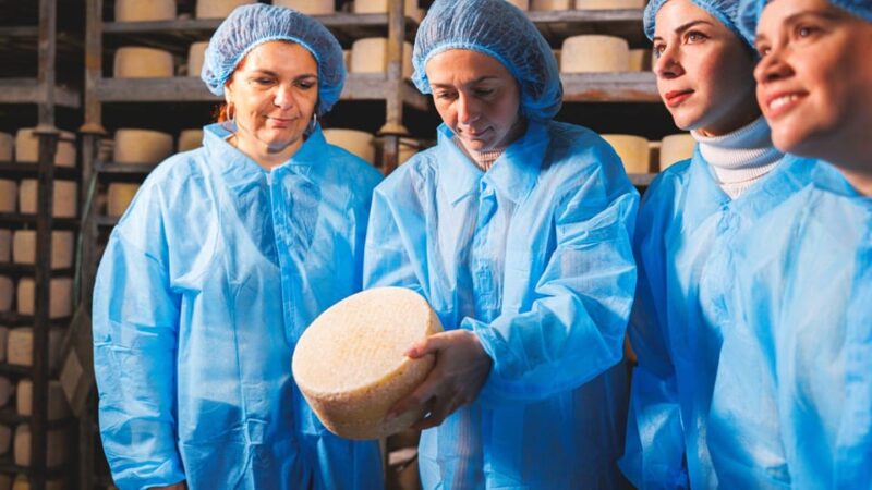 Dolianova: Visit and Workshop in a Cheese Factory - Tasting the Renowned Cheeses