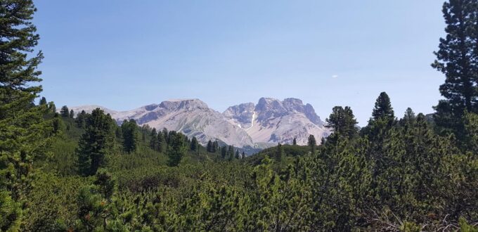Dolomites: Day Excursion in the Heart of the Dolomites - Accessibility and Suitability Requirements
