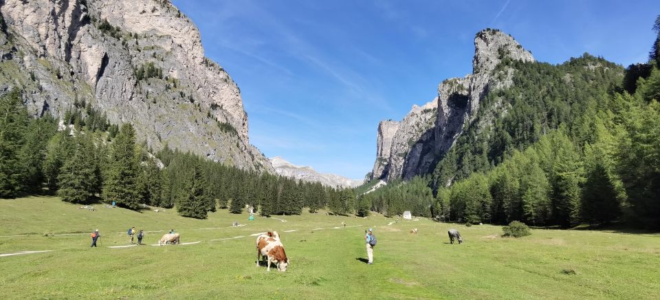 Dolomites of Bolzano: Hiking Experience with a local Guide - Key Points