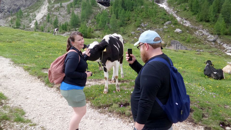 Dolomites of Bolzano: Hiking Experience with a local Guide - Frequently Asked Questions