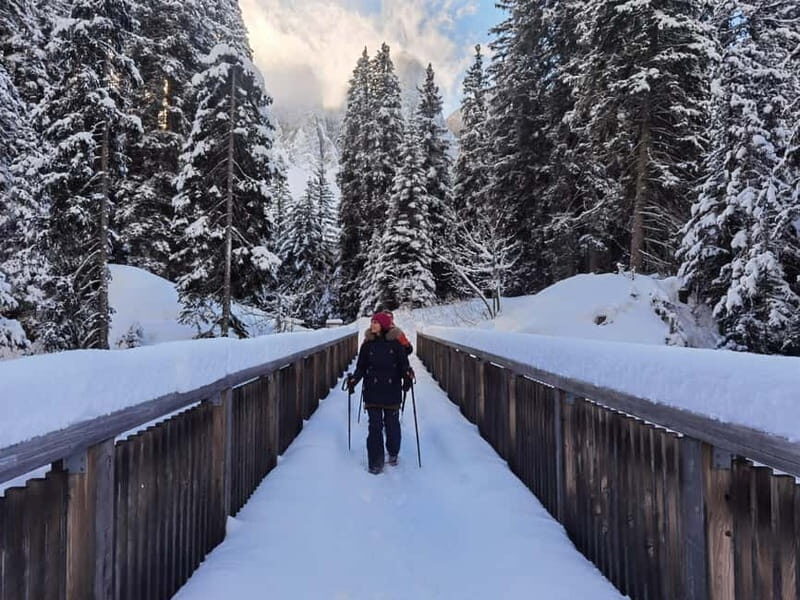 Dolomites of Bolzano: Winter Hiking & Sledding Experience - Frequently Asked Questions