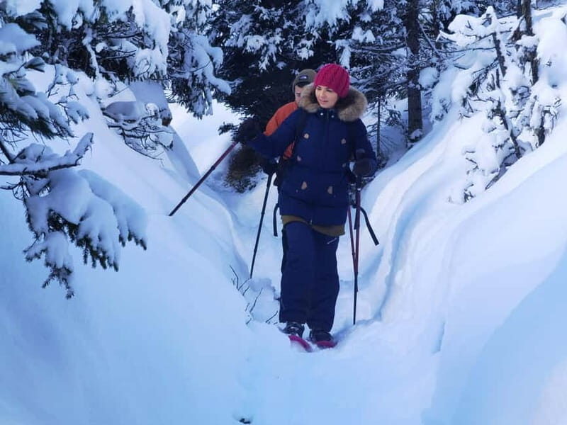 Dolomites of Cortina: Winter Hiking & Sledding Experience - A Deep Dive into the Dolomites Winter Hiking & Sledding Experience
