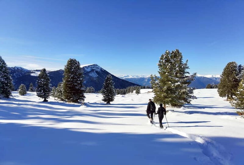 Dolomites of Cortina: Winter Hiking & Sledding Experience - FAQ