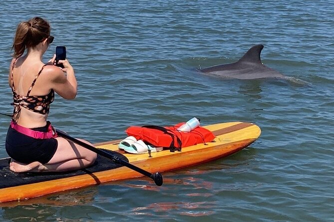 Dolphin and Manatee Adventure Tour of Osprey With Florida History - Key Points