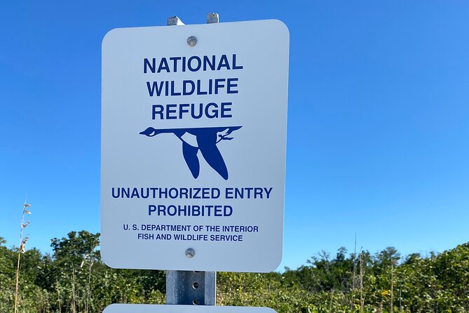 Dolphin and Manatee Boat Tour in 10,000 Islands NWR - Accessibility Features