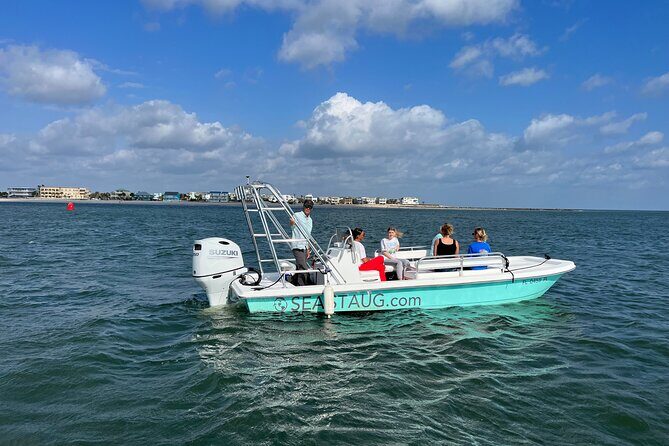 Dolphin and Nature Boat Excursion - Introducing the Dolphin and Nature Boat Excursion