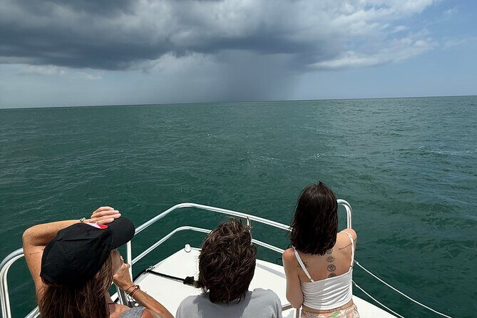 Dolphin and Nature Boat Excursion - Pricing and Value