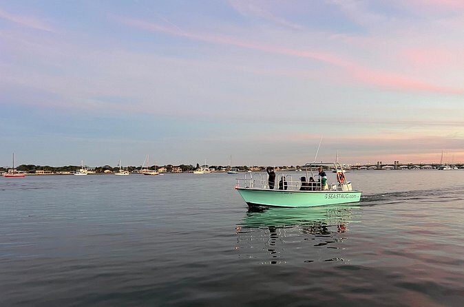 Dolphin and Nature Boat Excursion - The Sum Up: Who Will Love This Tour?