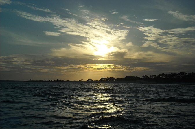 Dolphin and Snorkeling Activity in Panama City Florida - Practicalities and Planning