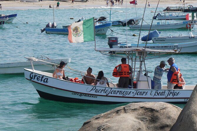 Dolphin and Whale Watching Boat Trip in Puerto Escondido - An In-Depth Look at the Experience