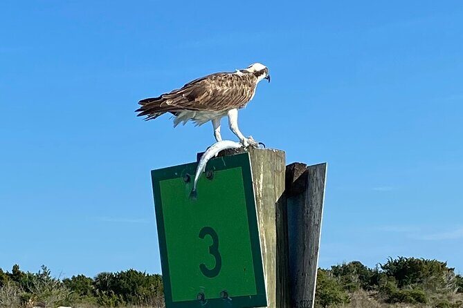 Dolphin and Wildlife History Tour - Who Will Love This Tour?