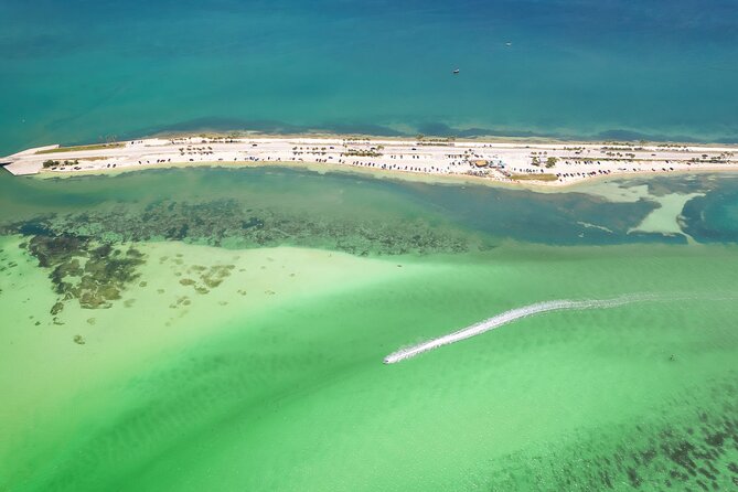 Dolphin Boat Tour in Clearwater Beach With Free Ice Cream - Tour Highlights