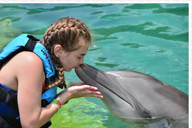 Dolphin Cove Adventure - Booking Details