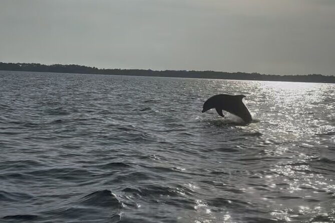 Dolphin cruise in Santa Rosa Beach - Key Points