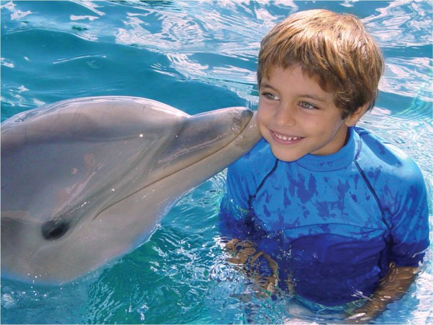 Dolphin Encounter at Ocean World, Puerto Plata - Logistical Information