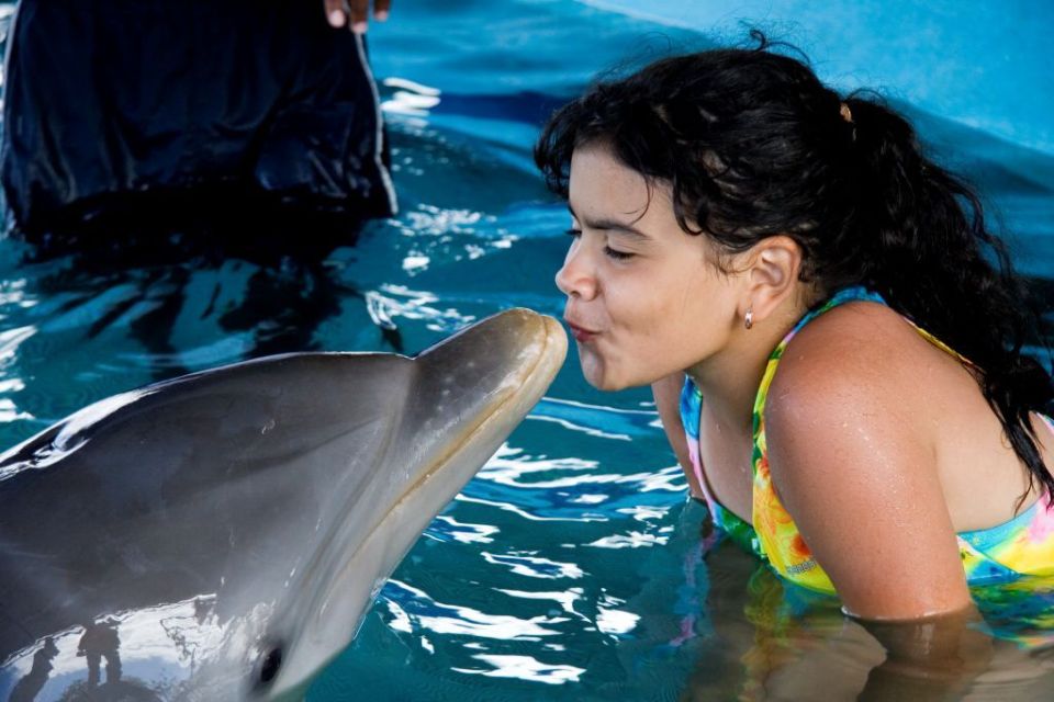 Dolphin Encounter at Ocean World, Puerto Plata - Discovering the Aquatic World