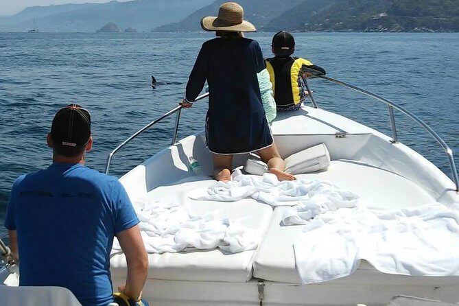 Dolphin Encounter - Frequently Asked Questions