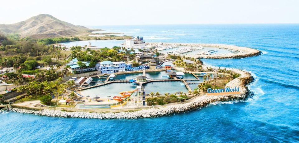 Dolphin Encounter for Dominican Residents - Key Points