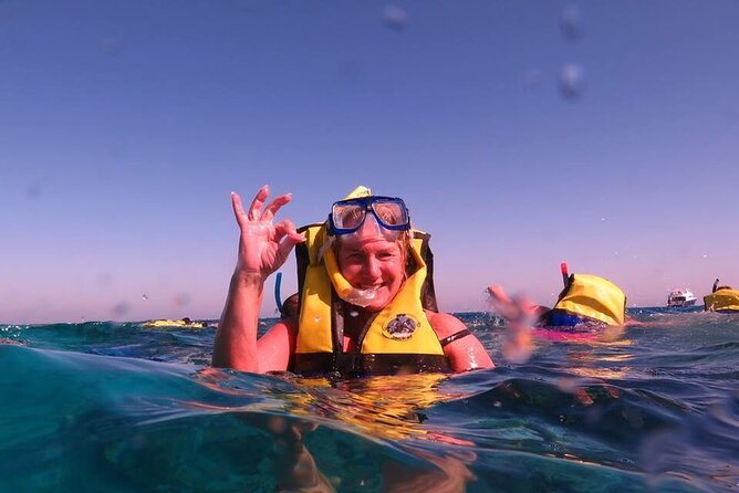 Dolphin House, Amazing Trip With Snorkeling and Dolphin Watching - Reviews