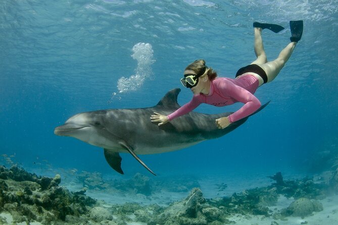 Dolphin House By Private Speed Boat & Drinks & Transfer-Hurghada - Pricing Details