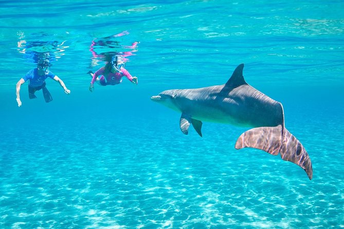 Dolphin House Royal VIP Sea Trip Water Sports Transfer HURGHADA - Water Sports Activities Offered
