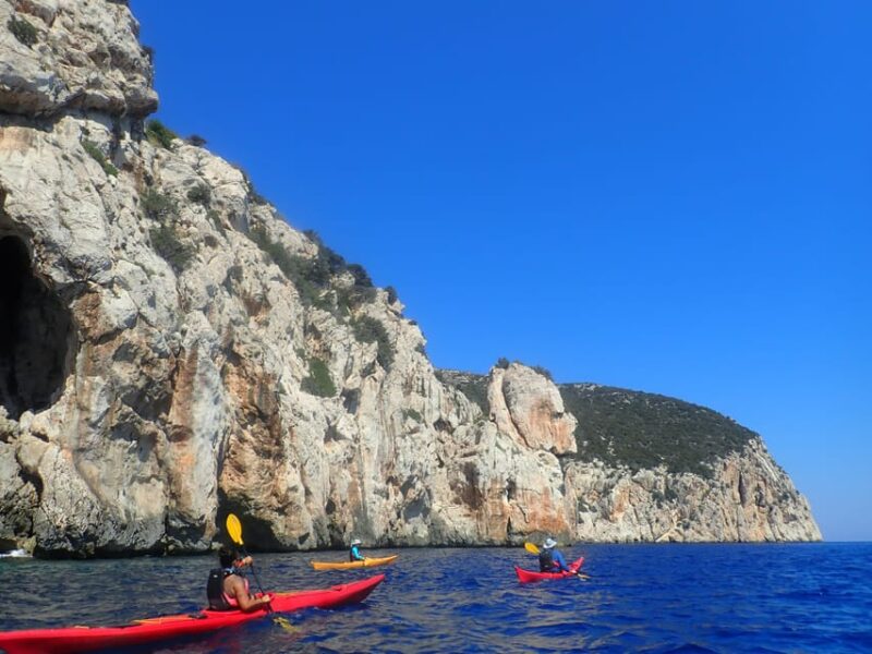 Dolphin Kayak Safari at Sunset at Golfo Aranci - Meeting Point and Essentials