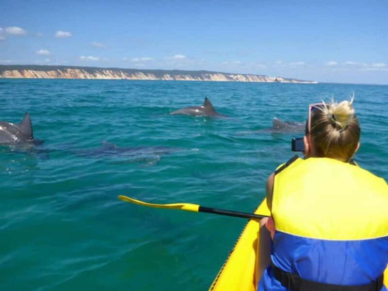 Dolphin Kayak Tour & Beach 4X4 National Park Tour (Private) - Final Thoughts