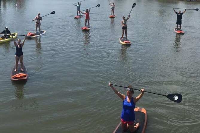 Dolphin, Manatee and Sea Turtle Adventure Tour of St. Augustine - Activity Highlights and Wildlife