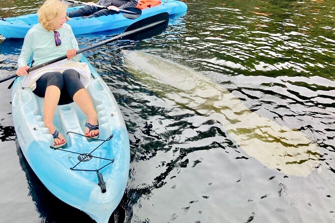 Dolphin, Manatee and Sea Turtle Adventure Tour of St. Augustine - Booking Confirmation and Accessibility