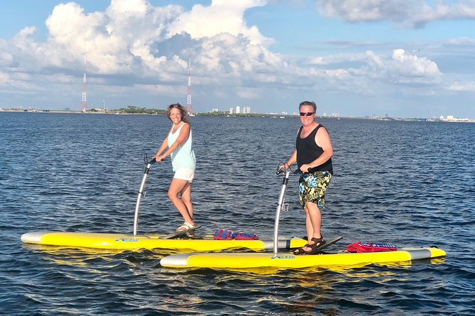 Dolphin & Manatee Watching Stand Up Pedalboarding Tour - Included in the Tour