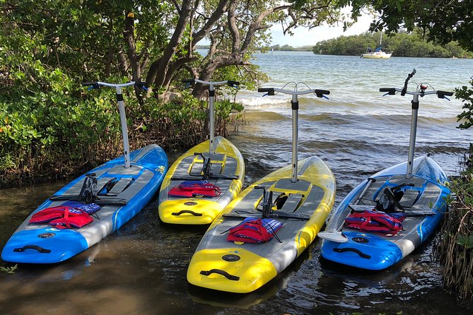 Dolphin & Manatee Watching Stand Up Pedalboarding Tour - Feedback and Reviews