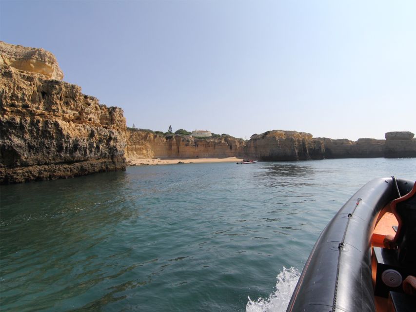 Dolphin Safari and Cave Tour in Vilamoura - Booking Information