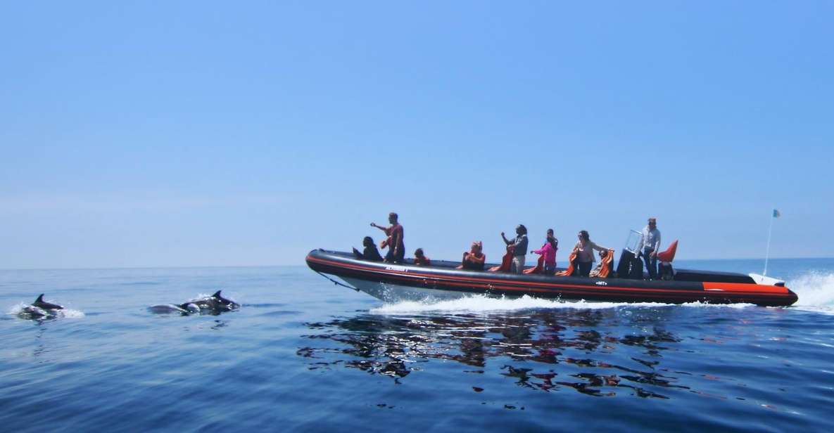 Dolphin Safari and Cave Tour in Vilamoura - Itinerary