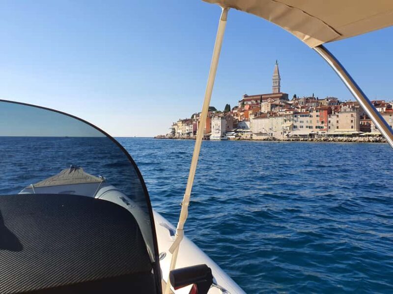 Dolphin safari every evening - Key Points