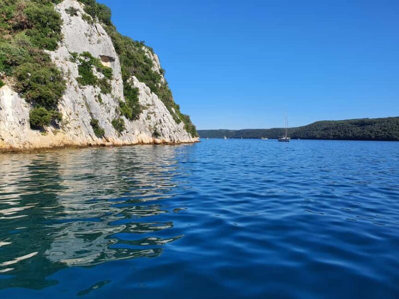 Dolphin safari every evening - The Sum Up