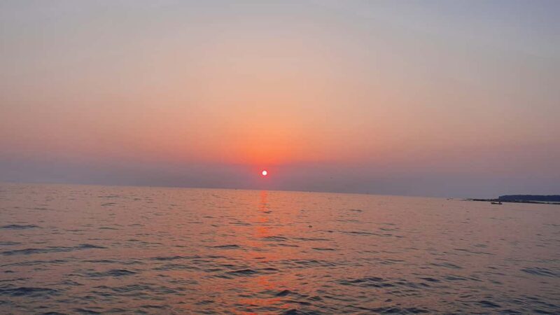 Dolphin safari every evening - Frequently Asked Questions