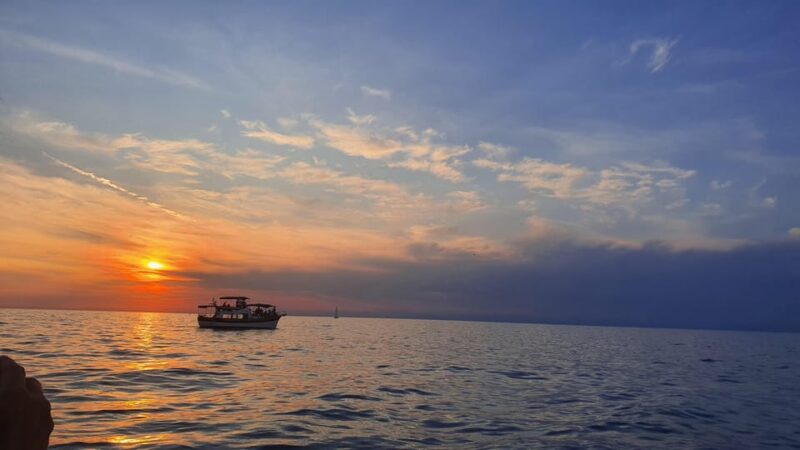 Dolphin Safari Every Evening - Pricing and Booking