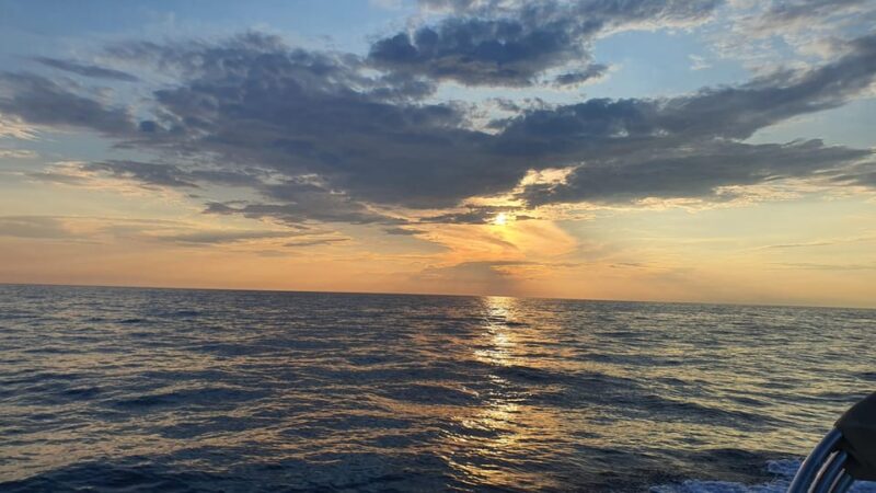 Dolphin Safari Every Evening - Boat Rental Options