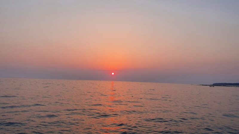 Dolphin Safari Every Evening - Participant Information