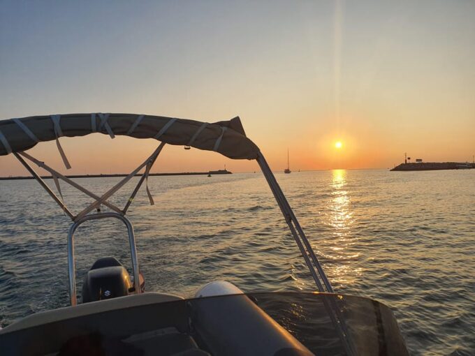Dolphin Safari Every Evening - Availability and Check-in