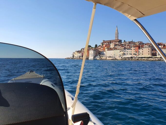 Dolphin Safari Every Evening - What to Expect