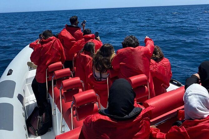 Dolphin Safari, São Rafael Caves & Coastline. - The Experience: A Deep Dive