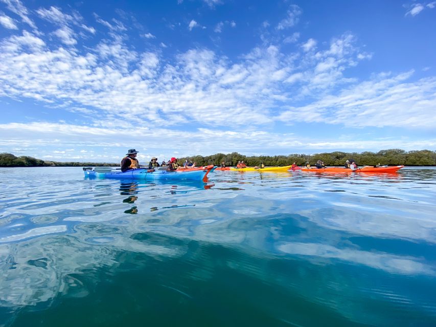 Dolphin Sanctuary and Ships Graveyard Kayak Tour - Customer Reviews